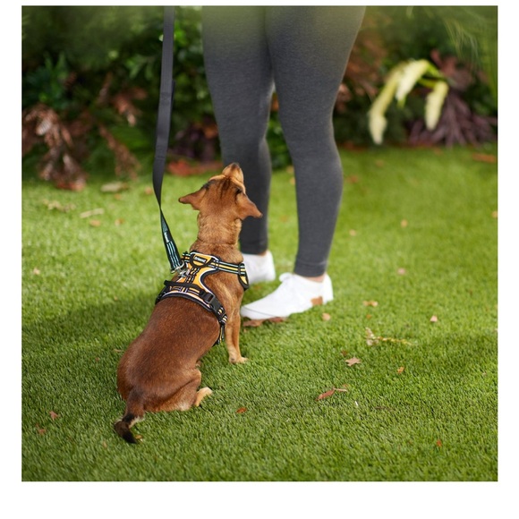 Frisco Padded Reflective Harness - Orange Small NWT - Picture 5 of 6